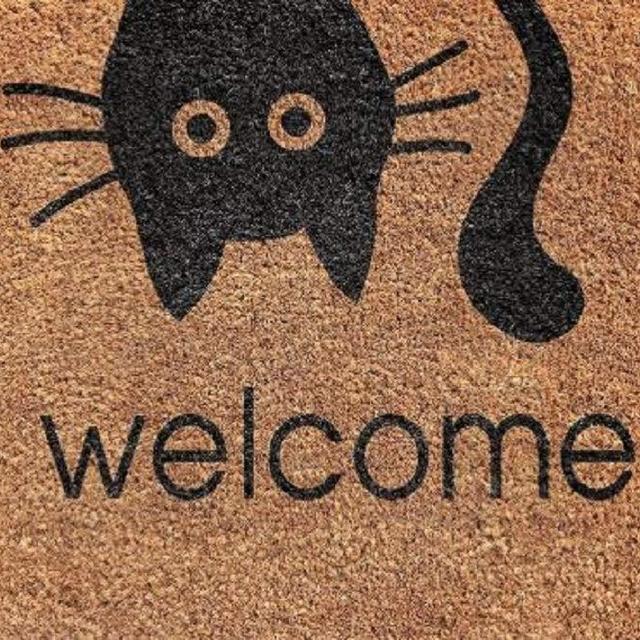 Designer Natural Coir Non Slip Doormat for Patio, Front Door, All Weather Exterior Doors Welcome Animal (16 X 24 Inch) Cat Face