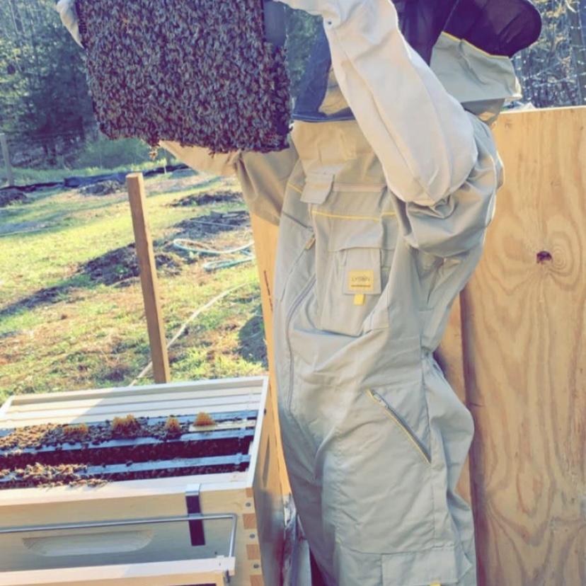 Beekeeping Together