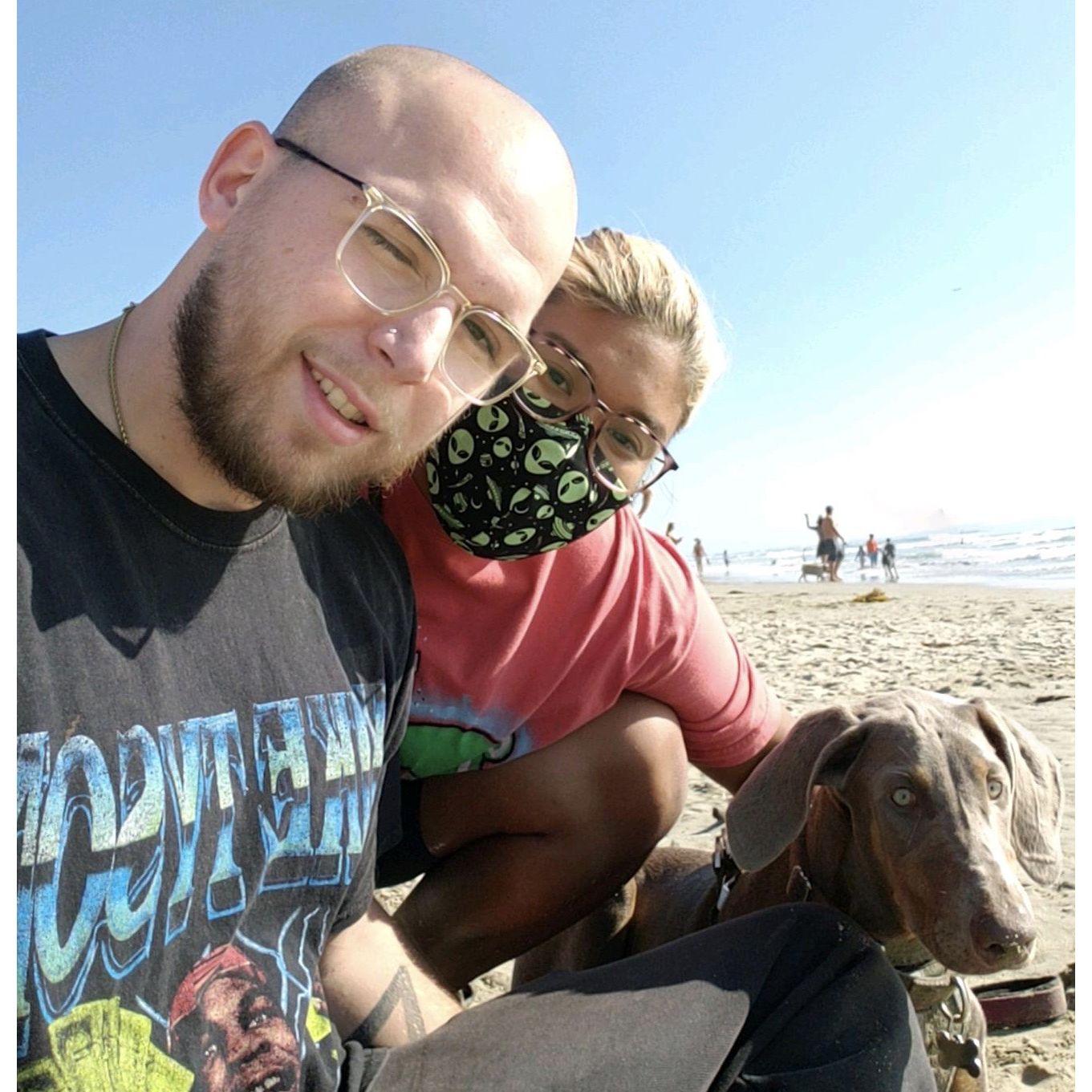 Suki's first time at the dog beach.