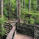 First Landing State Park
