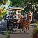 Old South Carriage Company