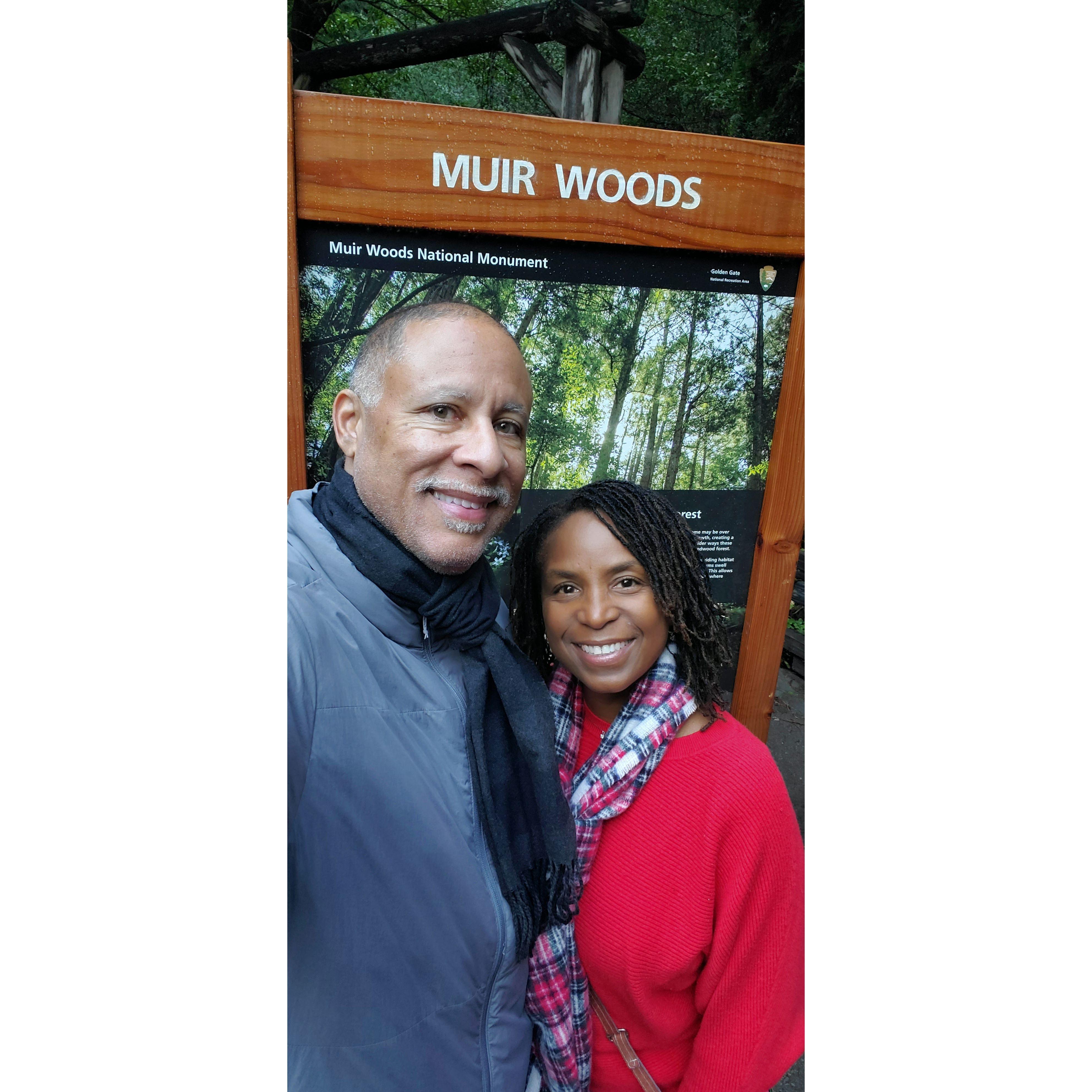 Home of the Redwoods in Marin County, Northern California