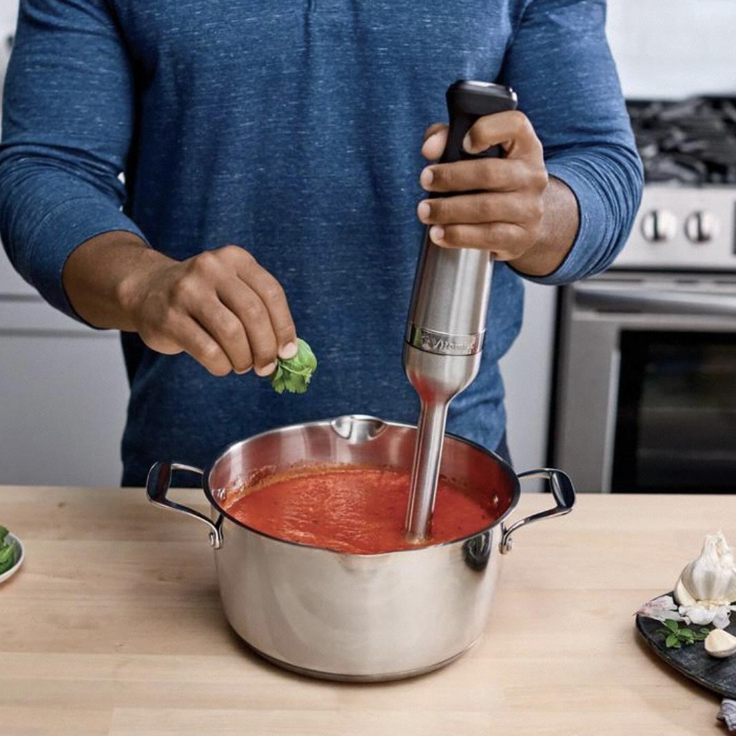 Vitamix Immersion Blender