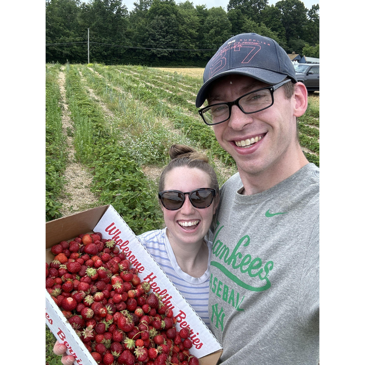 Strawberry picking!