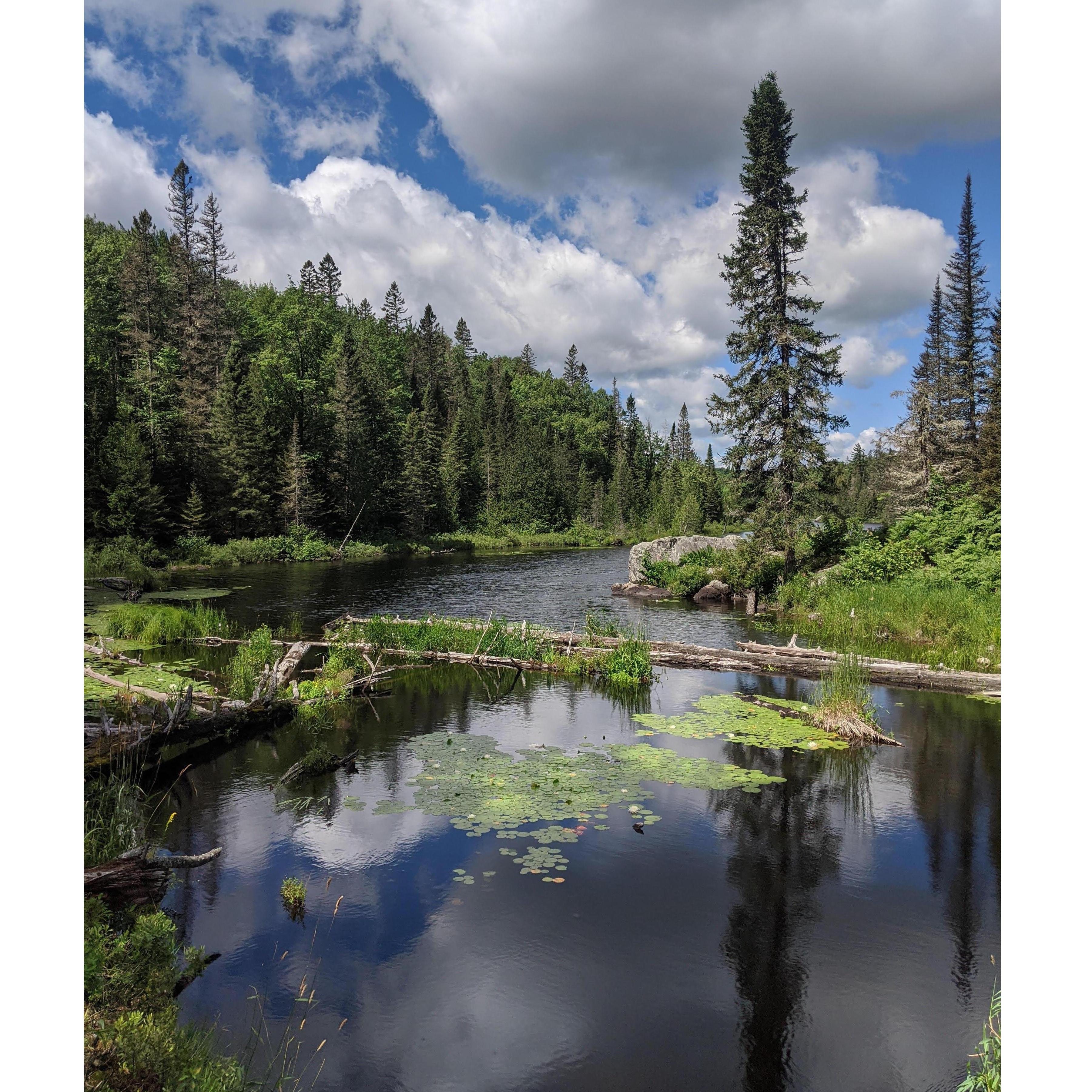 Craig Lake has been one of our favorite spots for years