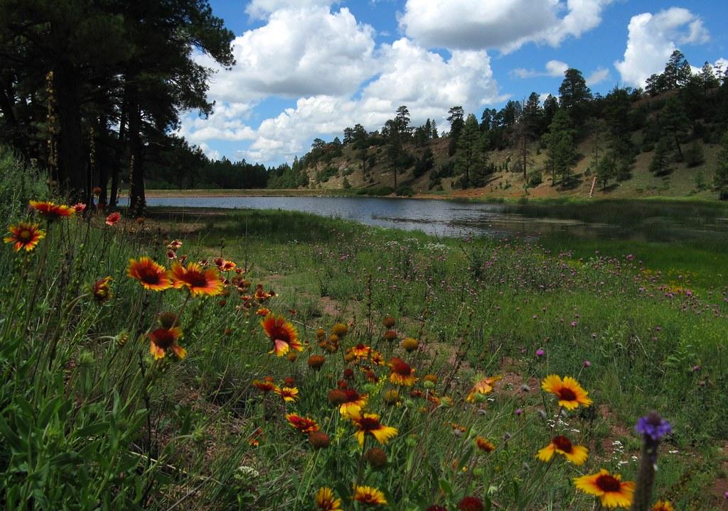 The Wedding Website of Samantha Suzuki and Keanu Ruiz