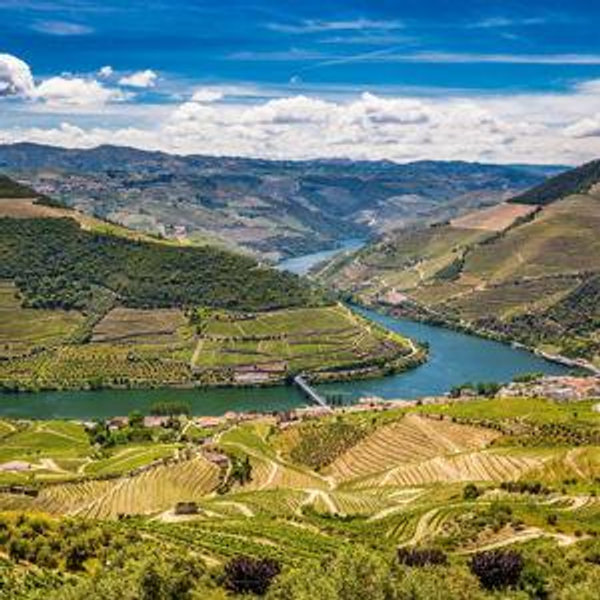 Duoro Valley Day Trip & Wine Tastings