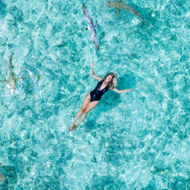 Bora Bora Honeymoon Shark & Ray Snorkel Tour