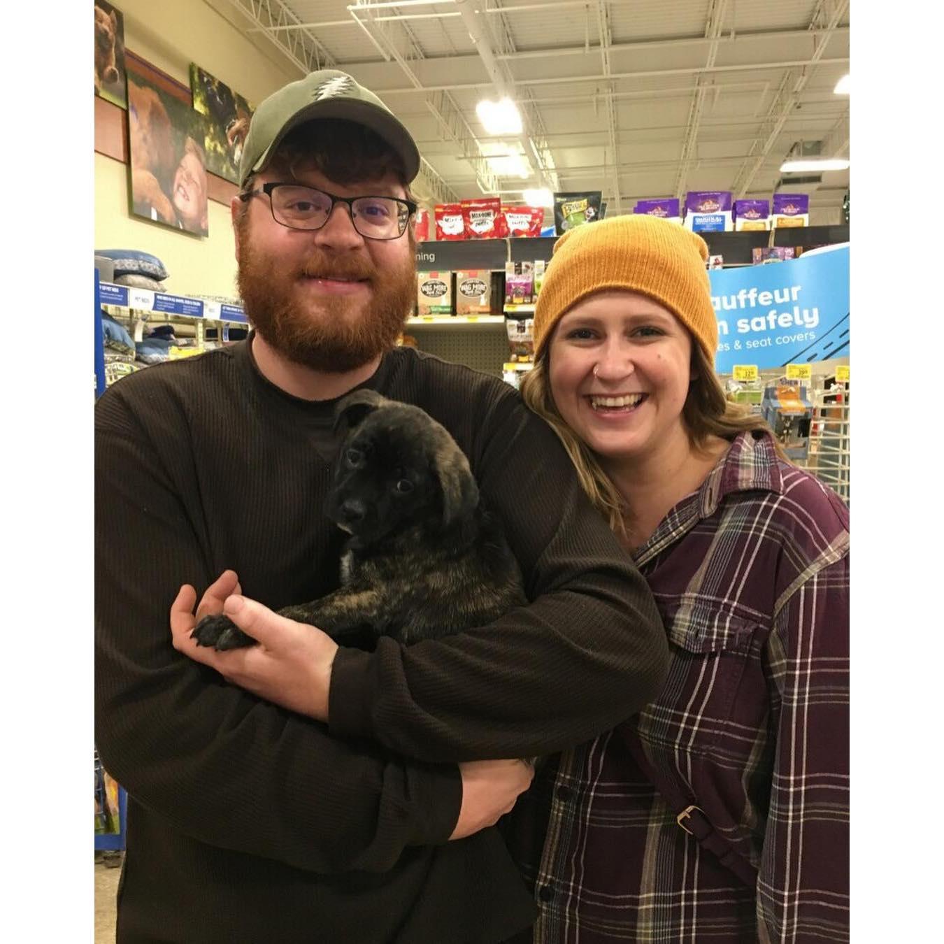 Adopting our baby, Bug - March 1, 2019