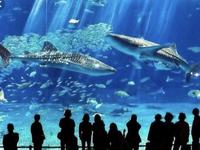Seattle Aquarium