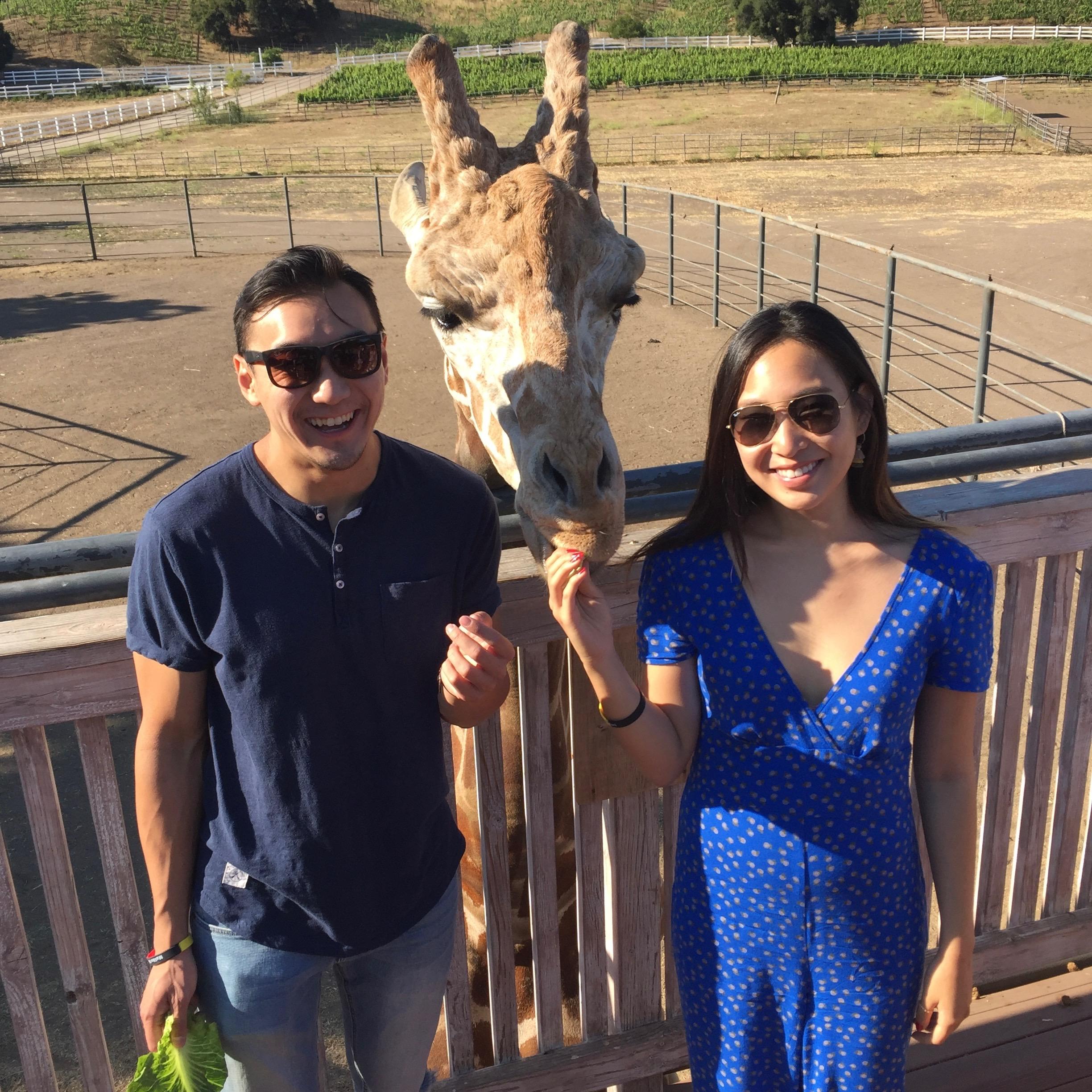 One of our very first dates, featuring Stanley the giraffe!
