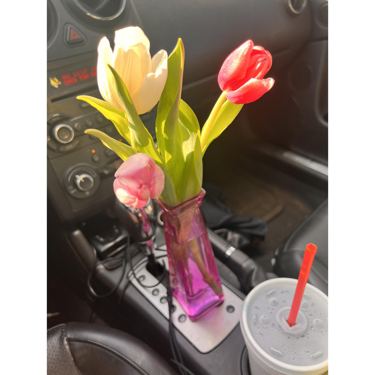 Suprise tulips