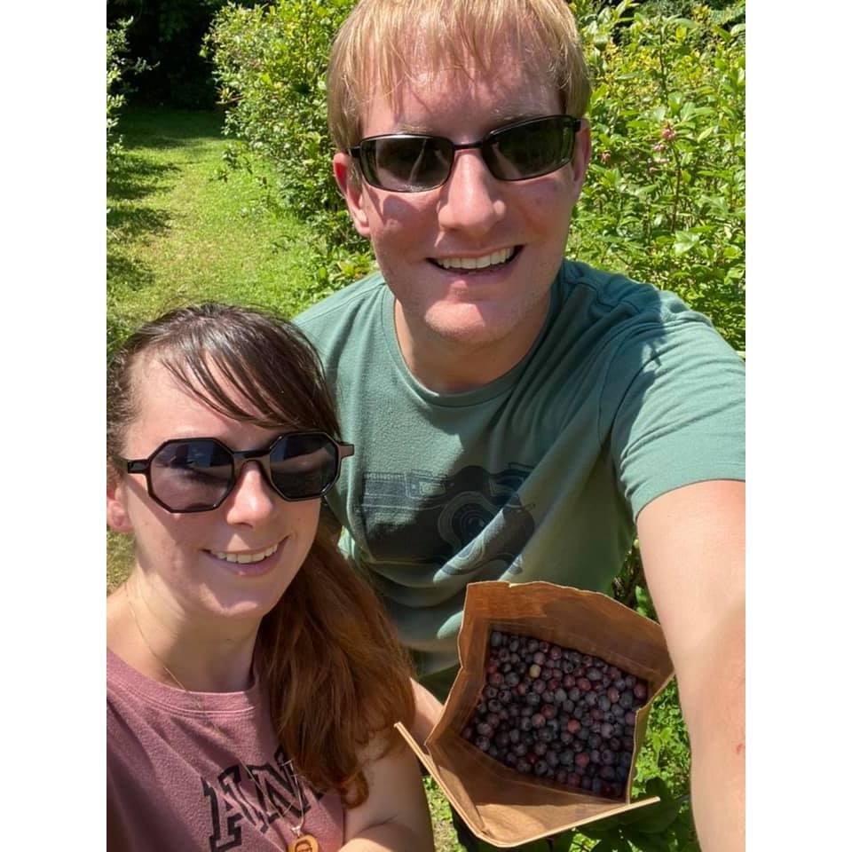 Blueberry picking at The Blueberry Treehouse Farm one of our favorite summer activities.