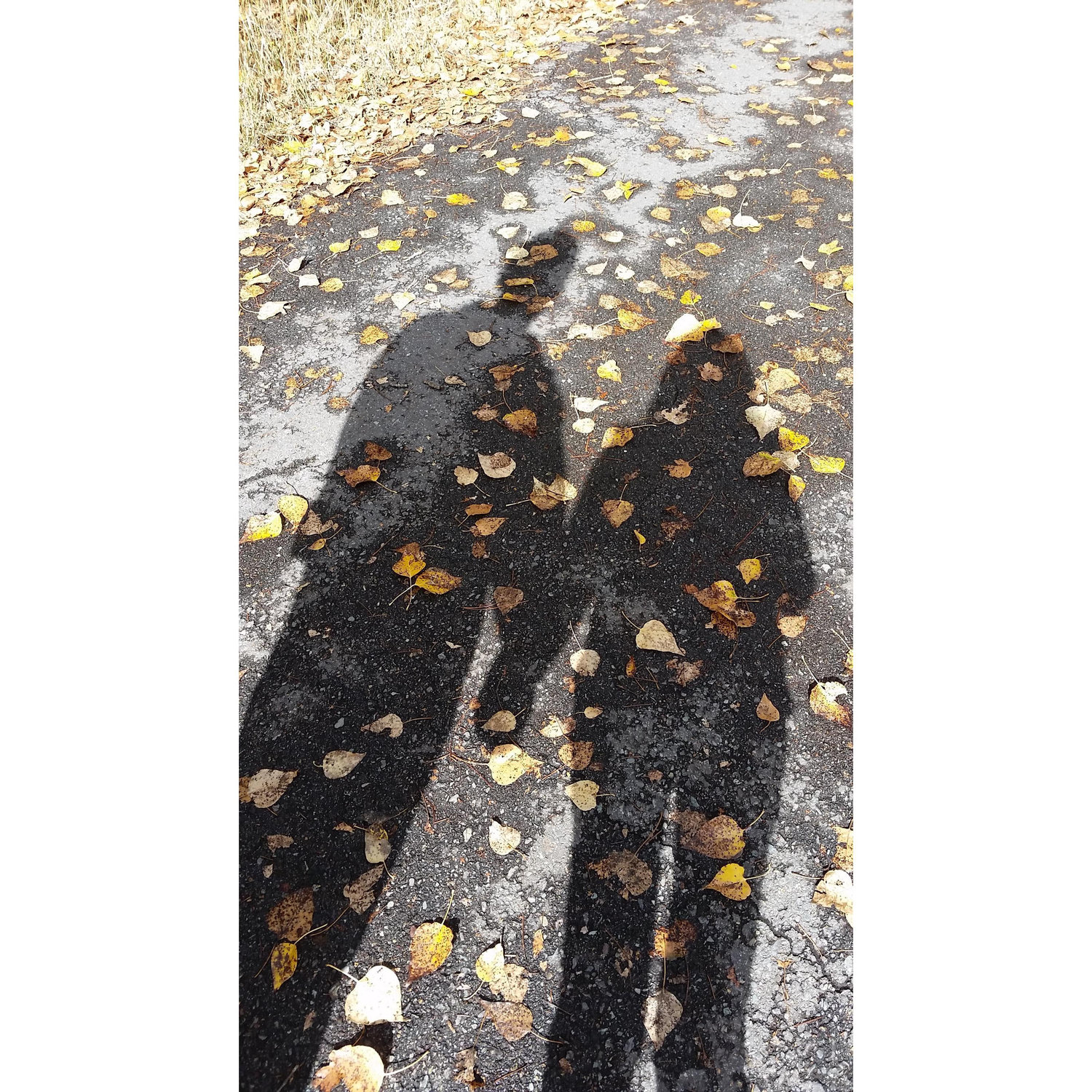Taking a walk in the Lee Metcalf Wildlife Refuge fall 2016