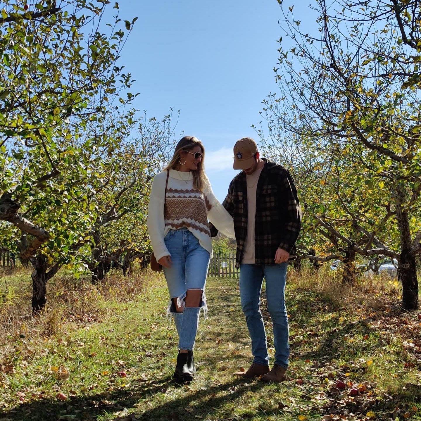 Apple Orchard