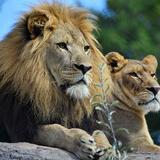 Seneca Park Zoo