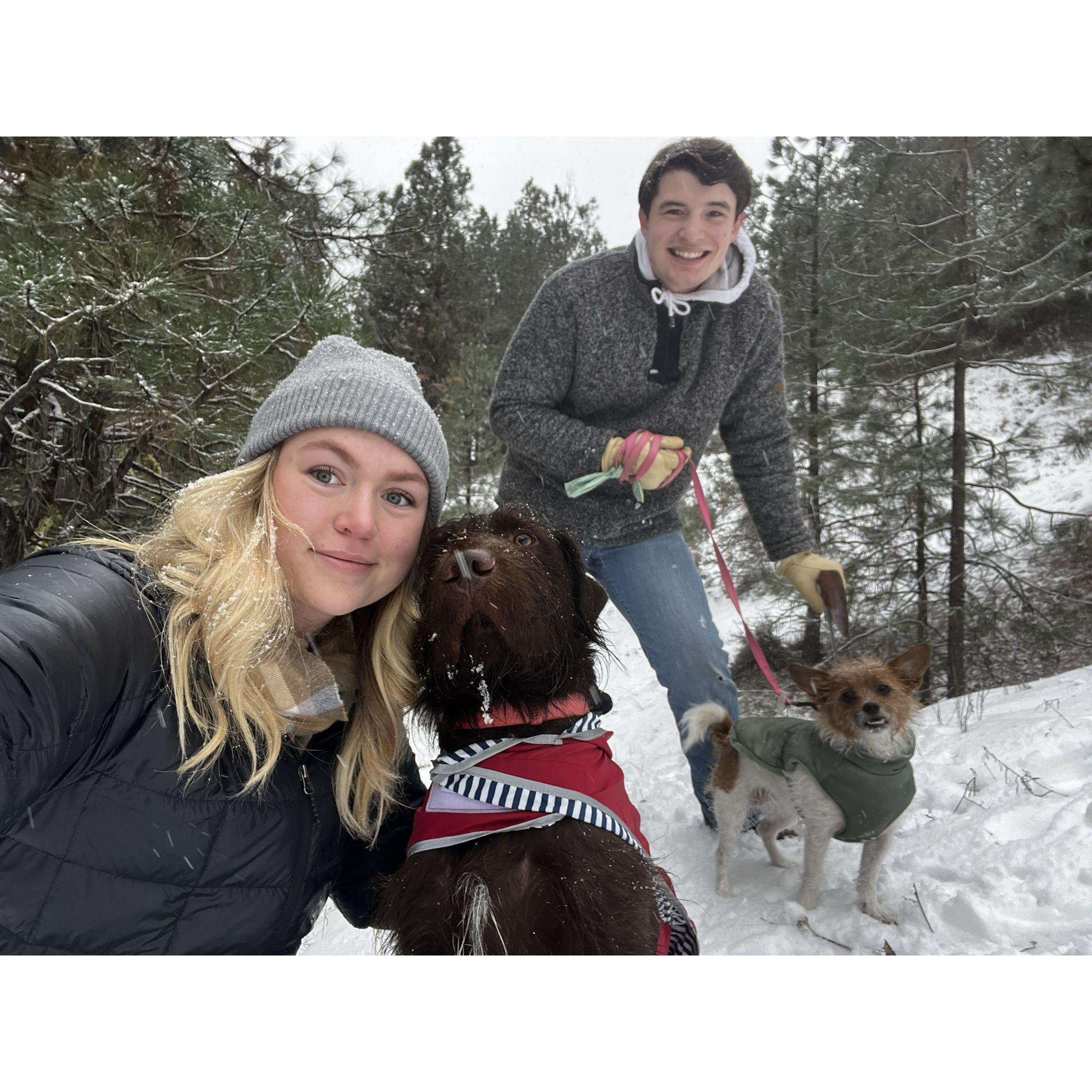 Cutting down our Christmas tree as a little family
