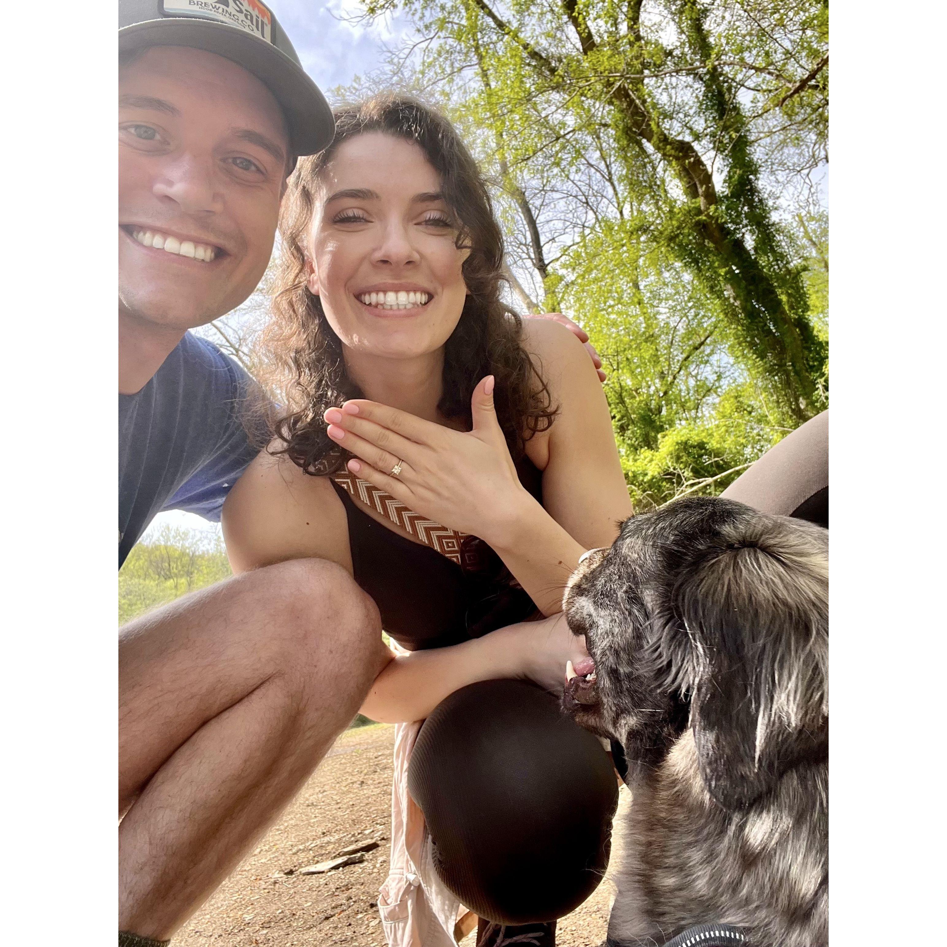 Even Lila was excited when we got engaged!