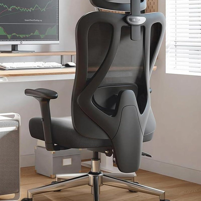 Hbada P3 Ergonnomic Office Chair with 2D Adjustable Lumbar Support, Office Chair with Adjustable Headrest and Armrest, 145° Stepless Tilt Function, Black(No Footrest)