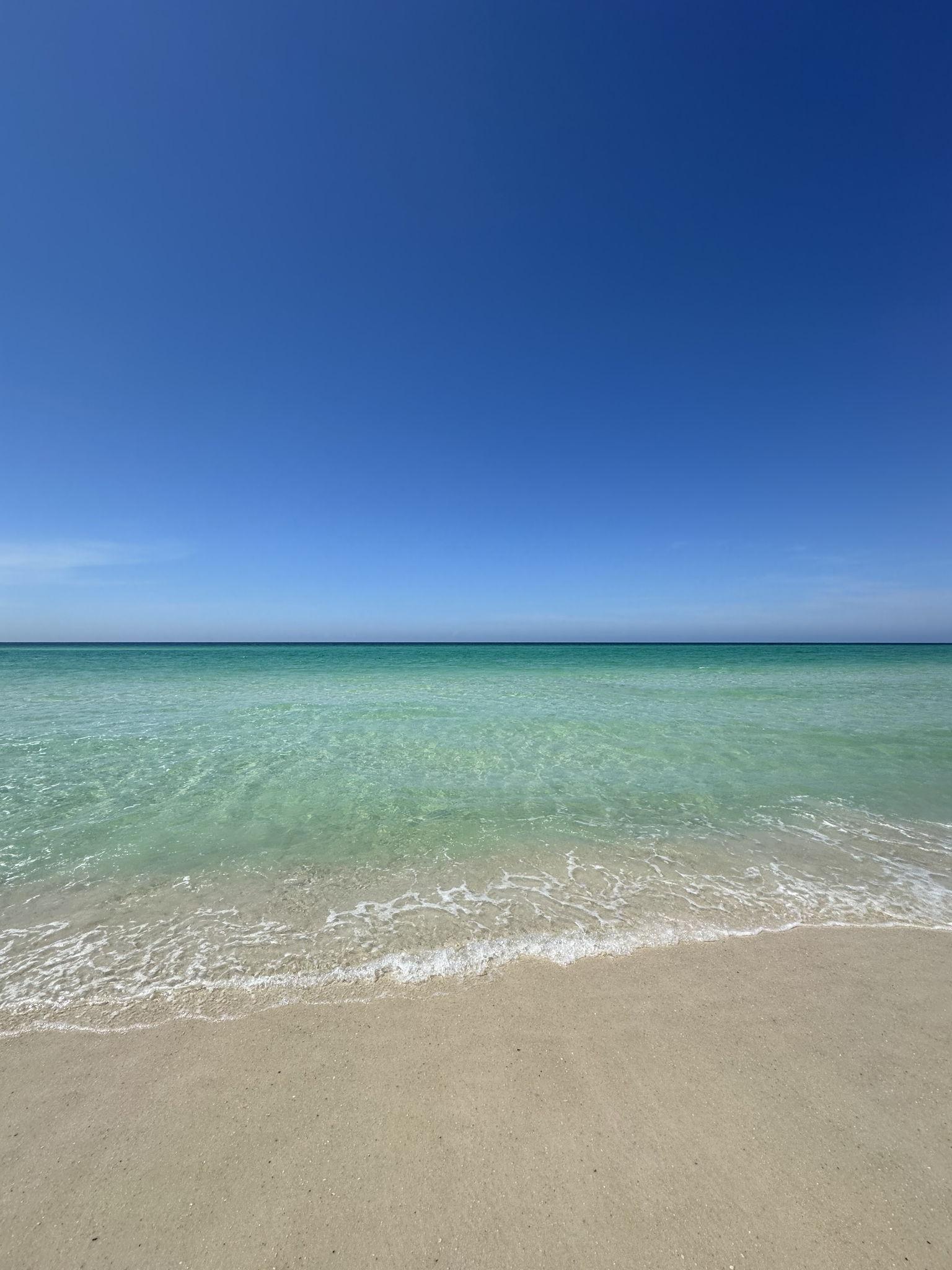 The Wedding Website of Alexa Christina Parra and Derek Mathew Hooker