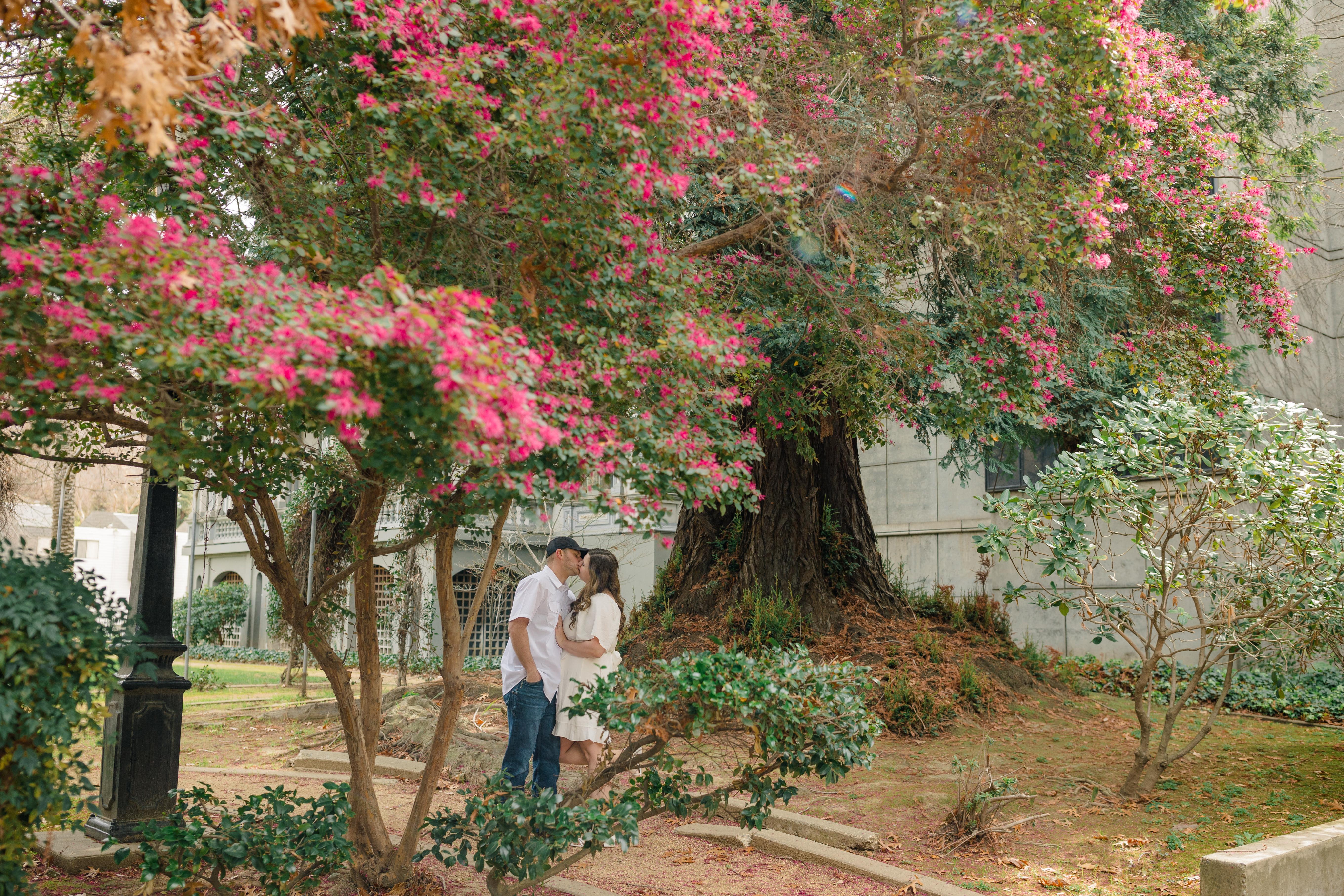 The Wedding Website of LeeAnn Craddock and Michael Ellsworth