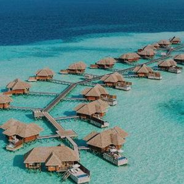 Honeymoon Fund