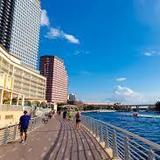 Tampa Riverwalk