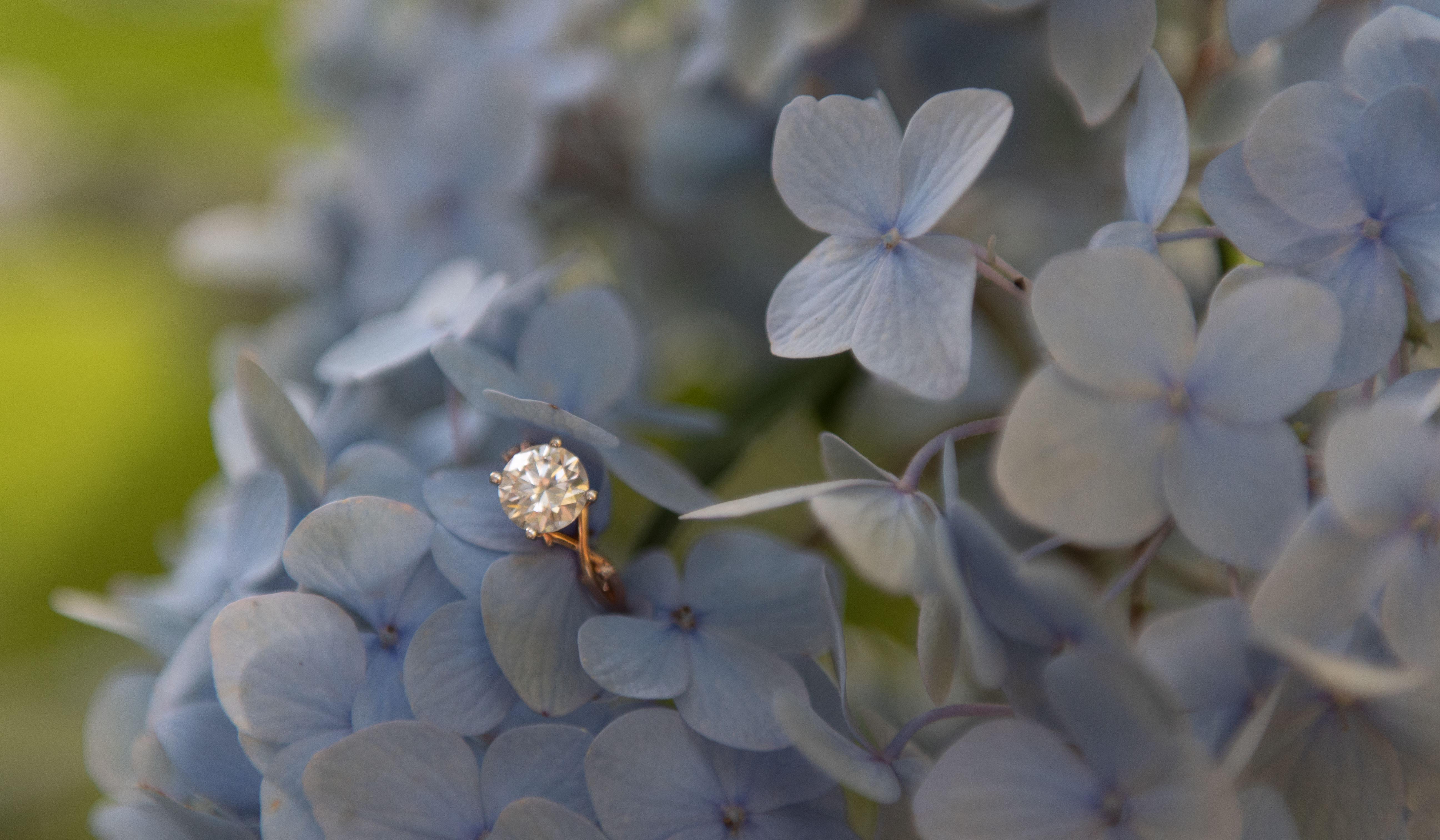 Hero Slideshow Image 0