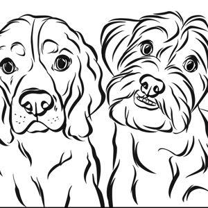 A Year's Supply of Dog Food