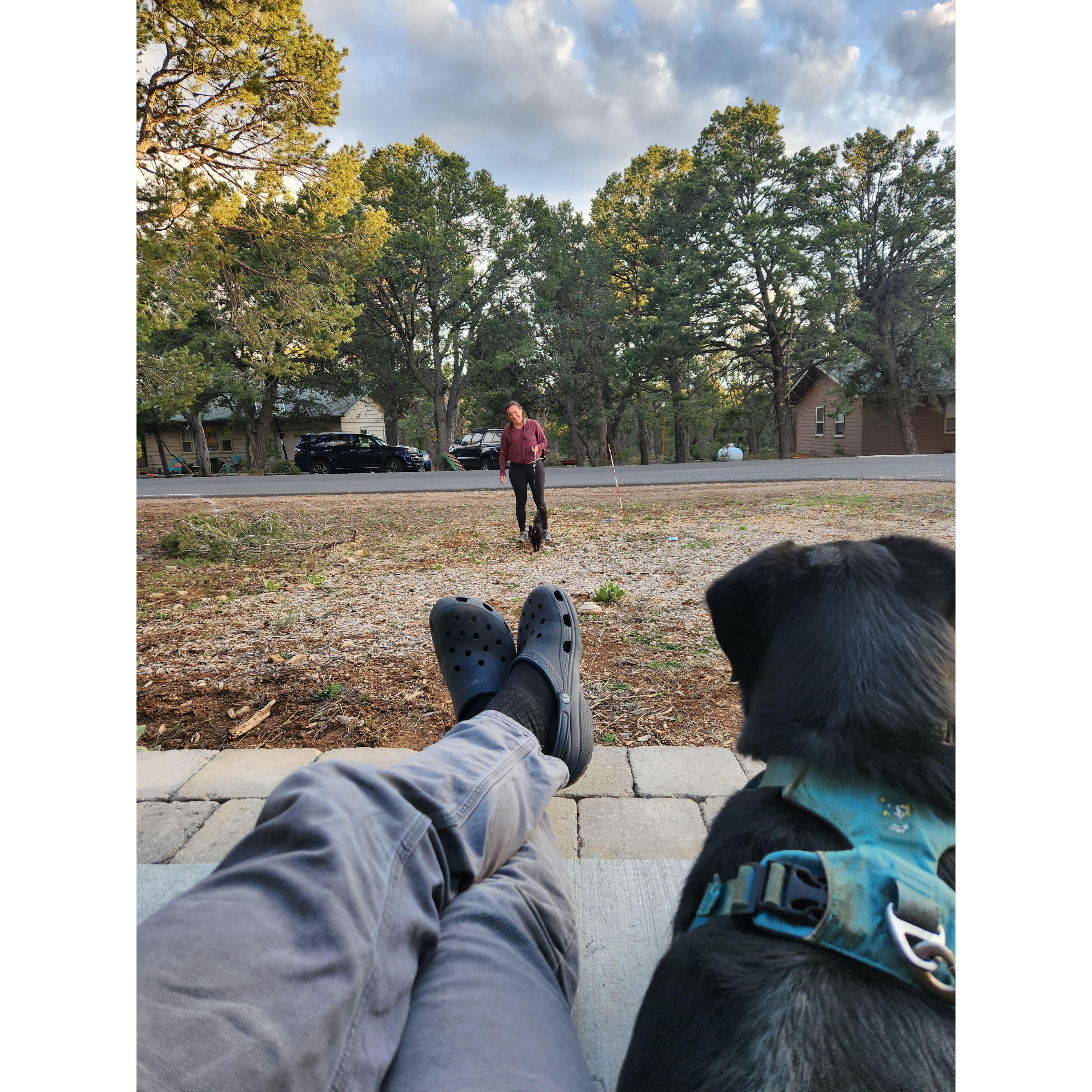 The outdoors veteran Kima, coaching the rookie Clementine on leash etiquette. Clementine is now a complete menace, running outside anytime a door or other means of escape is available.