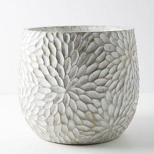 Chrysanthemum Pot