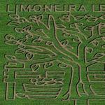 Pumpkin Patch at Limoneira Ranch