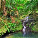 El Yunque National Forest