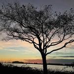 Madaket Harbor Cruise