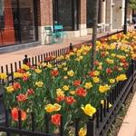 Downtown Naperville