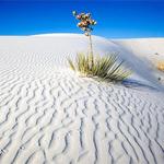 White Sands National Park