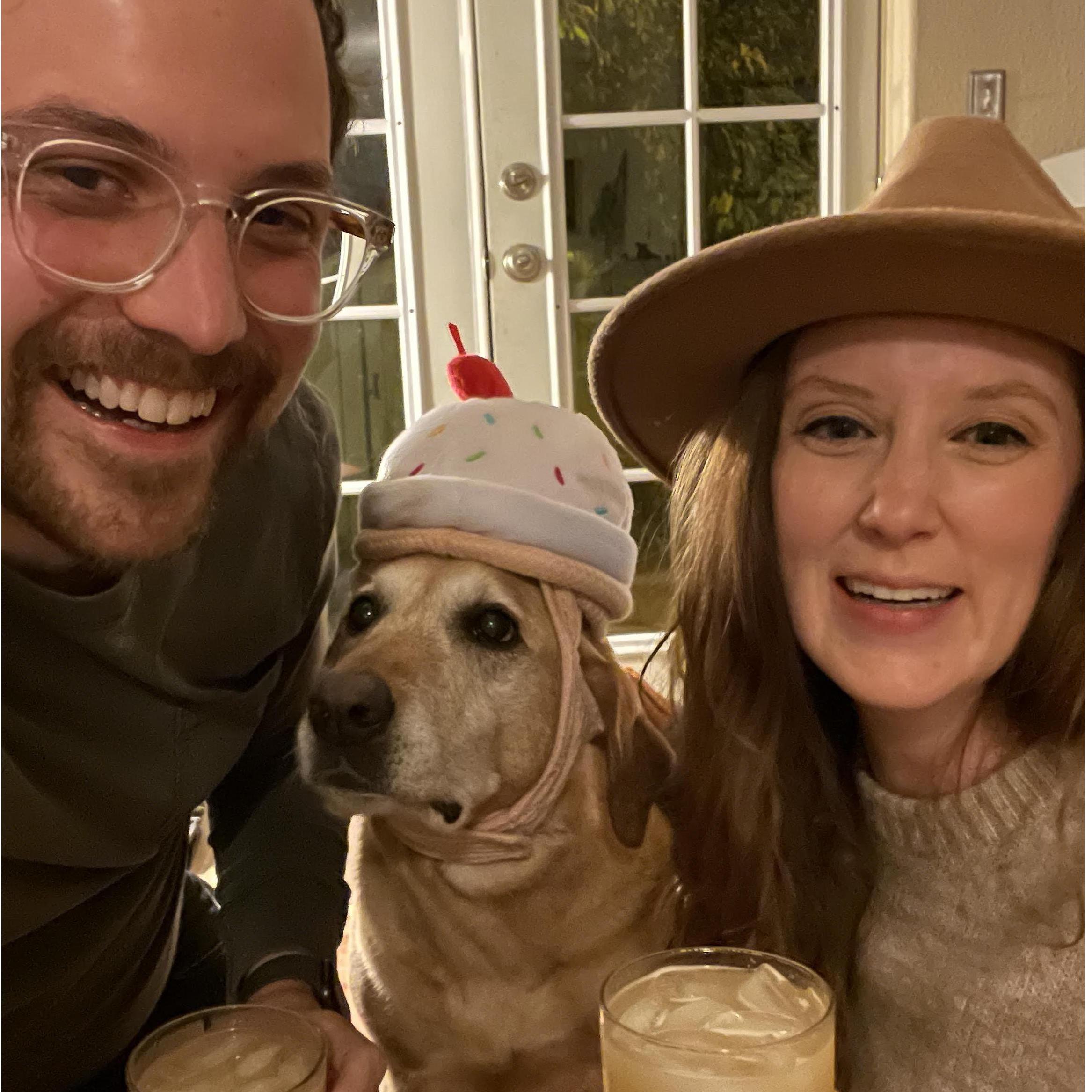 Submitting Bailey to her yearly torture of having to wear an ice cream sundae on her head for Halloween.