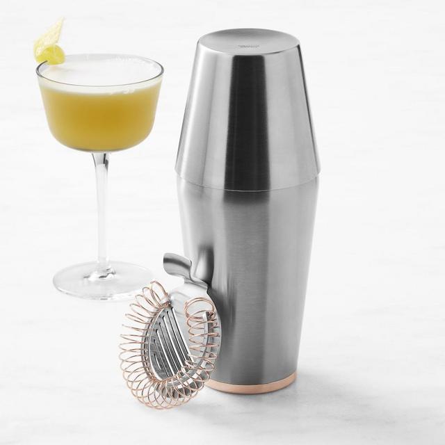 Williams Sonoma Billy Reid Cocktail Shaker Set