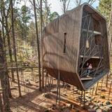 Garvan Woodland Gardens