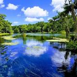 Edward Ball Wakulla Springs State Park