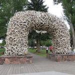 Jackson Town Square- Antler Arches