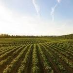 Wineries