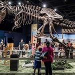 Orlando Science Center