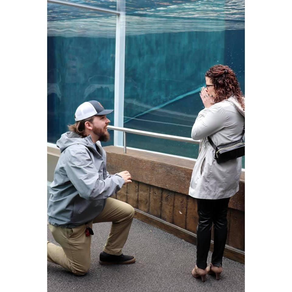 Columbus Zoo Engagement
