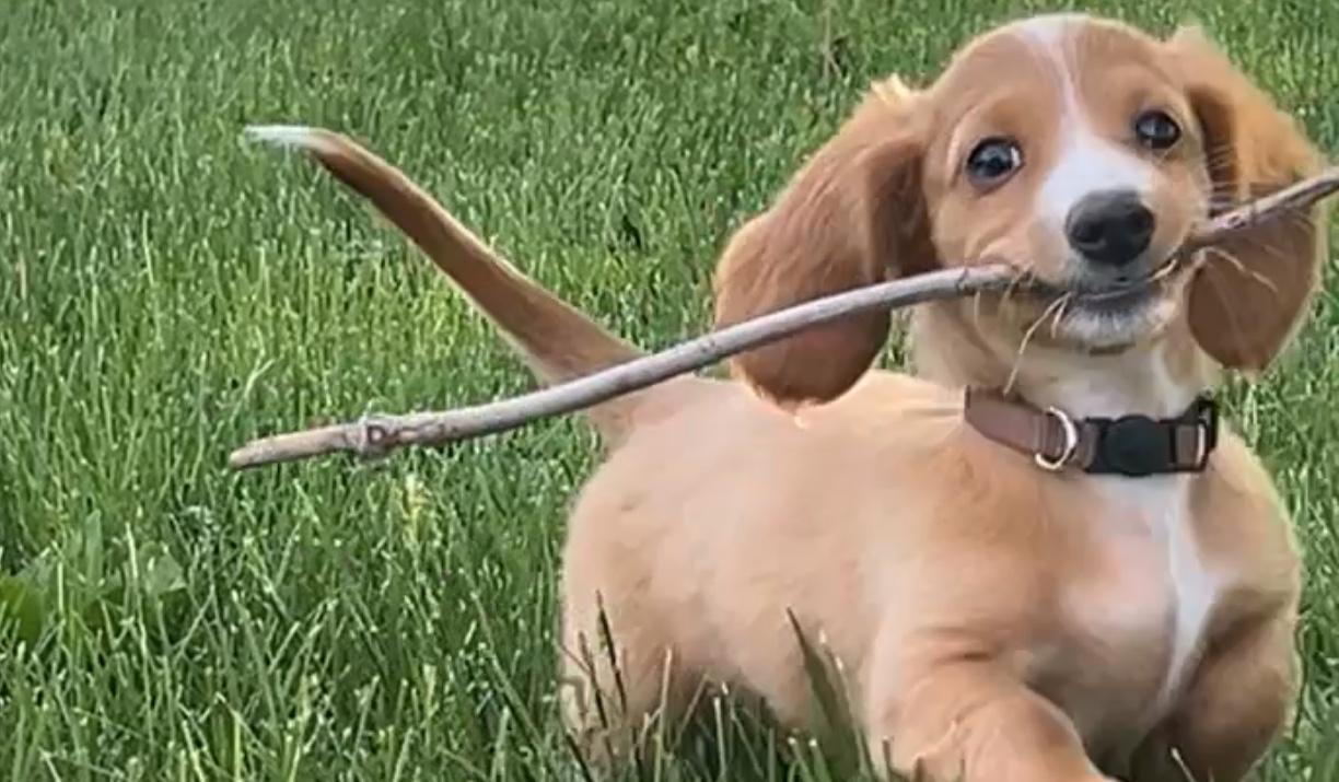 The Wedding Website of Victoria Booth and Kyle Pierson