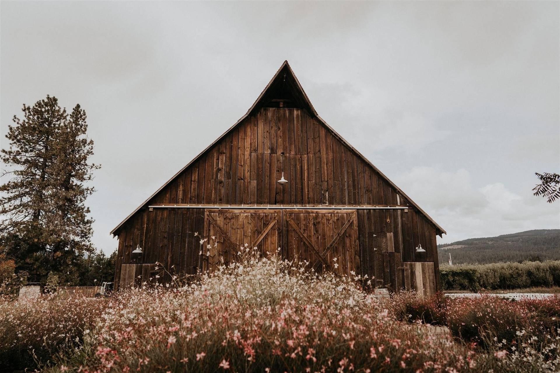 The Wedding Website of Lauren Rutherford and Noah Macia