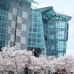 High Point Climbing Gym