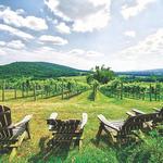 Wineries & Tasting Rooms