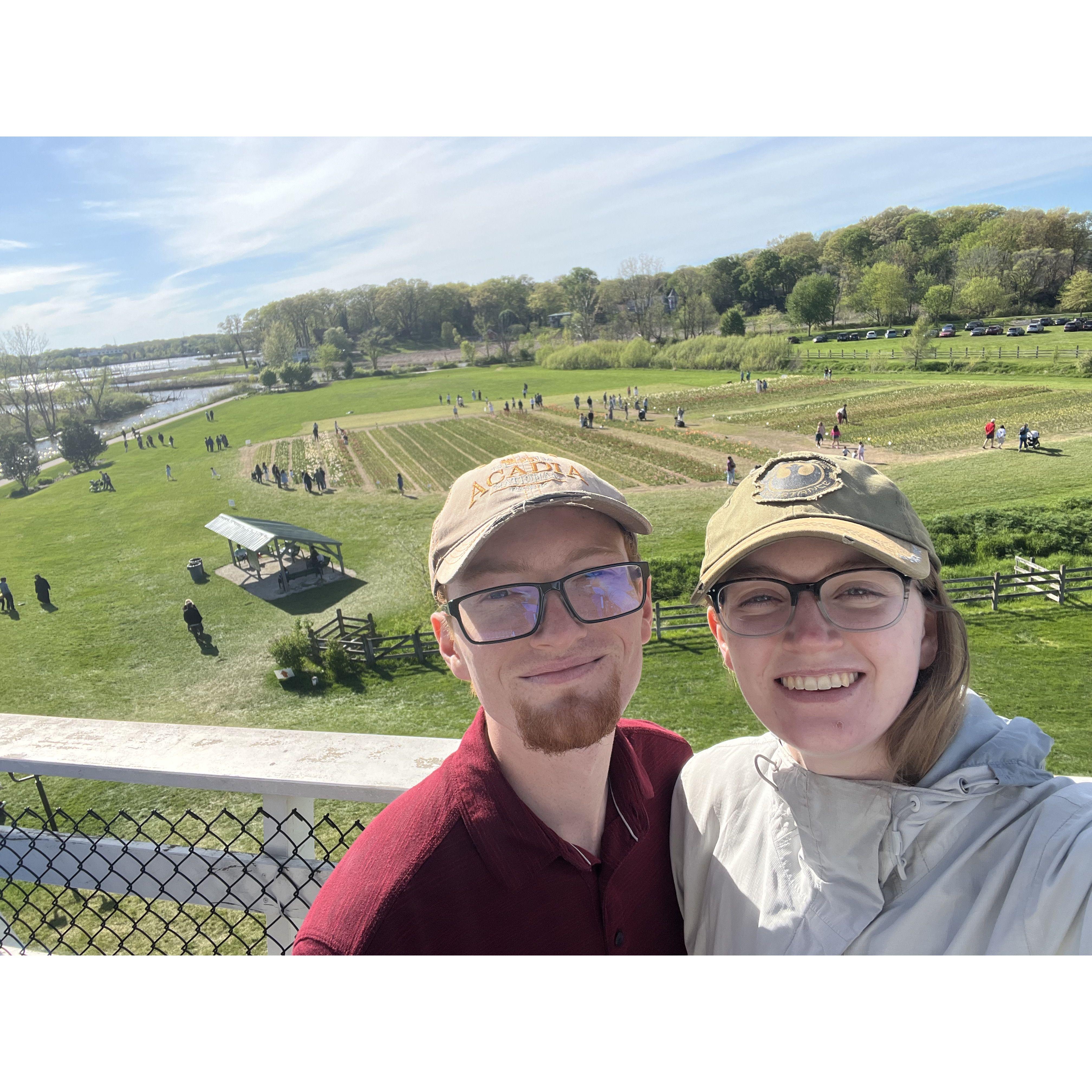 Tulip Festival May 2024