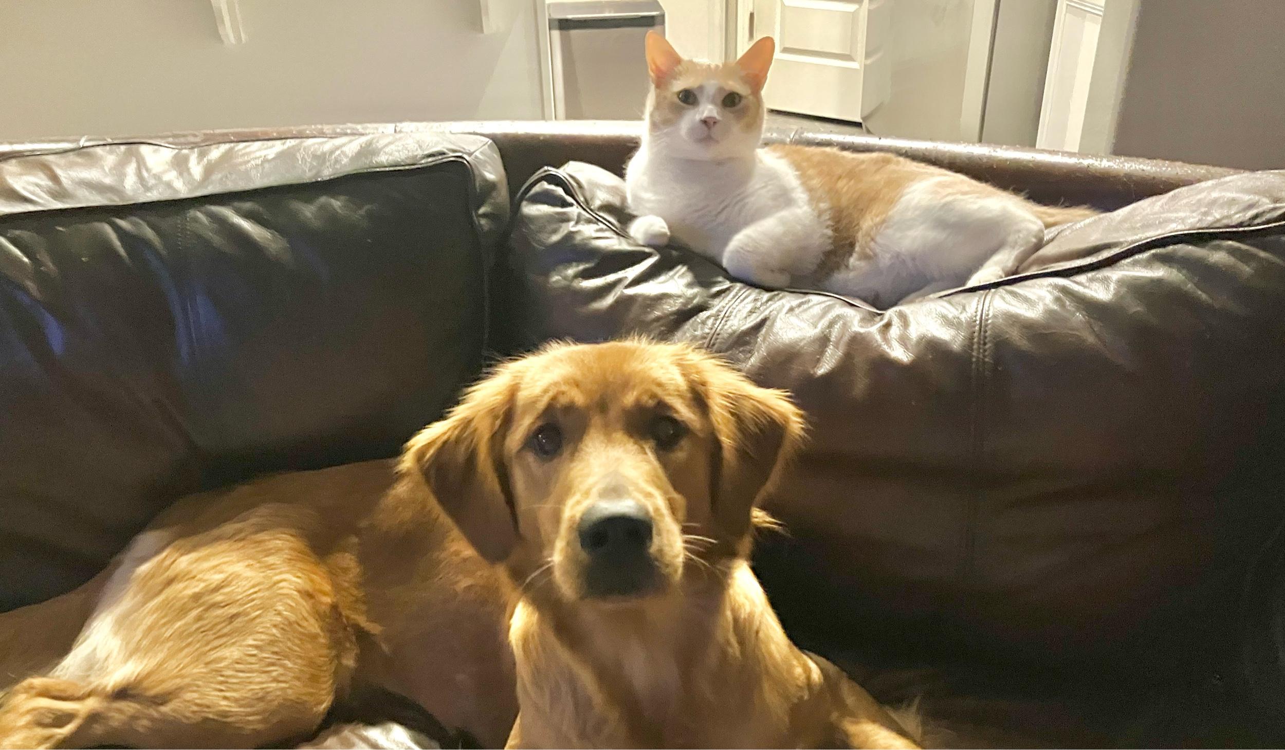 The Wedding Website of Danielle Wright and Kory Castor